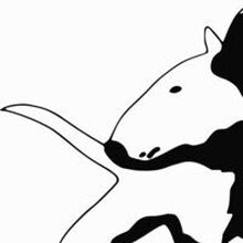 Ольга, г. Самара