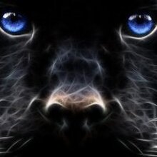 Александр, г. Нижний Тагил