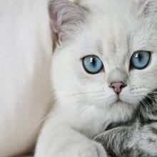 Мария, г. Ханты-Мансийск