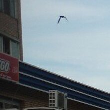 Эдуард, г. Железнодорожный