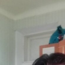 Лейла Али Исламовна, г. Партизанск