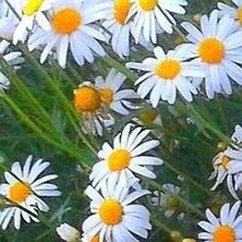 Инна Валерьевна, г. Торжок