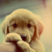 Анастасия Равилевна, г. Нижневартовск