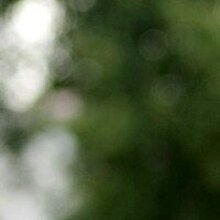 Александр Александрович, г. Сергиев Посад