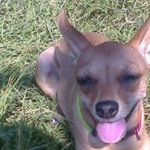 Марина Анатольевна, г. Новосибирск