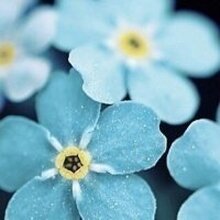 Ольга, г. Новочеркасск