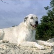 Владимир Владимирович, г. Кострома