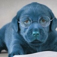 Иван Владимирович, г. Симферополь