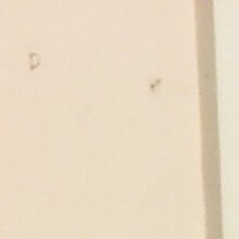 Сергей Григорьев, г. Усть-Камчатск