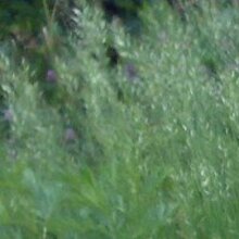 Оксана, г. Воронеж