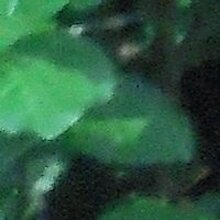 Анатолий, г. Белгород