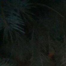 Таисия, г. Саратов