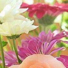 Татьяна, г. Сыктывкар