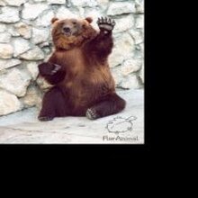 Михаил, г. Ярославль