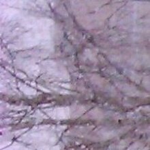 Юлия Никулина, г. Москва