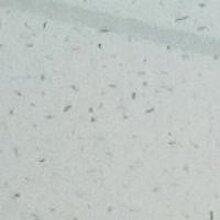 Евгений, г. Омск