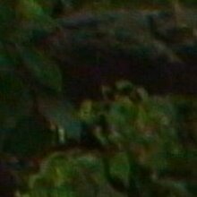 Александр, г. Новочеркасск