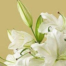 Наталья, г. Сургут