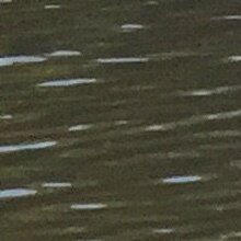 Олег, г. Москва