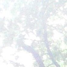 Алексей, г. Владимир