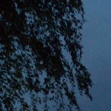 Александр, г. Новосибирск