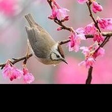 Наталья, г. Кострома