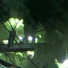 Марина Кудрина, г. Севастополь