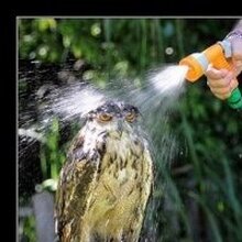 Валерий, г. Сызрань