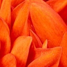 Юлия, г. Смоленск