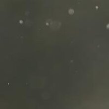 Юлия, г. Курск