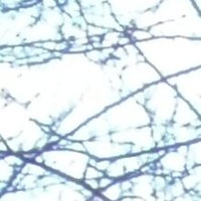 Дмитрий, г. Кемерово