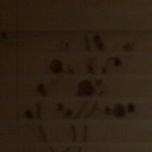 Марина, г. Тамбов