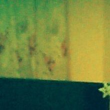 Константин, г. Ростов-на-Дону