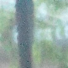 Михаил, г. Москва