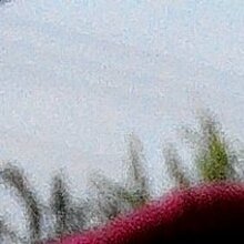 Настя, г. Джанкой