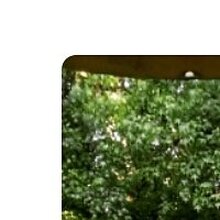 Елена, г. Сочи