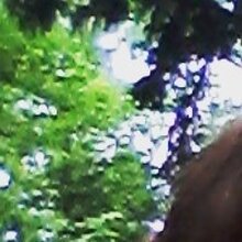 Анна, г. Москва