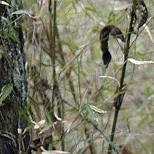 Александр, г. Санкт-Петербург