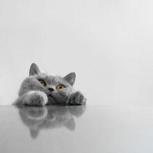 Виктория, г. Москва