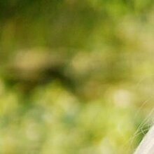 Дарья, г. Магадан