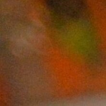 Лариса, г. Новокузнецк