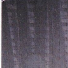 Лилия, г. Королёв