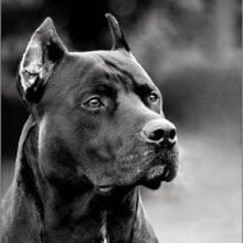 Пит, г. Магнитогорск