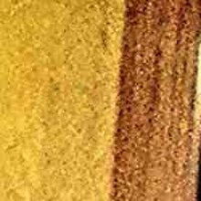 Ольга, г. Новая Ладога