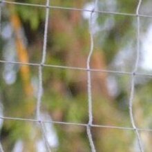 Сергей Валерьевич, г. Льгов