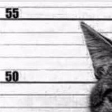 Денис, г. Обнинск