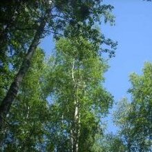 Оксана, г. Сургут