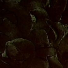 Мария, г. Днестровск