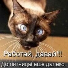 Гость_3636127, г. Саратов