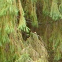 Марина, г. Чебаркуль